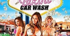 Bikini Car Wash