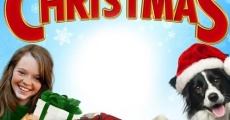 All I Want for Christmas film complet