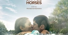 Película All the Pretty Little Horses