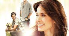 Amar no es querer (2011) stream