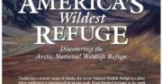 America's Wildest Refuge: Discovering the Arctic National Wildlife Refuge (2010) stream