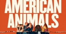 American Animals (2018)