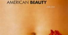 American Beauty streaming