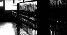 American Yearbook streaming