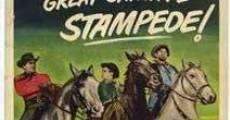 Cattle Drive (1951)