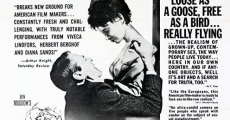 An Affair of the Skin (1963) stream