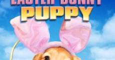 Película An Easter Bunny Puppy