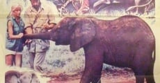 Película Un elefante llamado Lento