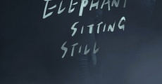 An elephant sitting still (2018)