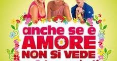 Anche se è amore non si vede (2011) stream