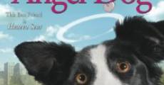 Angel Dog film complet