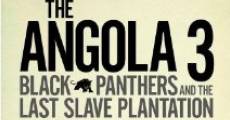 Película Angola 3: Black Panthers and the Last Slave Plantation
