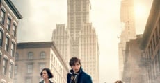 Fantastic Beasts and Where to Find Them film complet