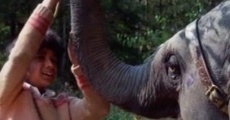 Película Anoop y el elefante