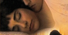 Aprimi il cuore (2002) stream