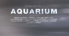 Aquarium (2015)