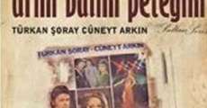 Arim balim petegim (1970)