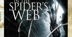 In the Spider's Web (2007) stream