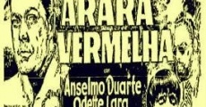 Filme completo Arara Vermelha