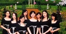 Arch Angels streaming