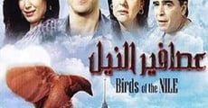 Ver película Las aves del Nilo