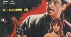 Aslan yürekli kabadayi (1967) stream