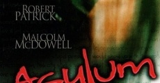 Filme completo Asylum