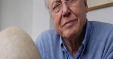 Attenborough and the Giant Egg (2011)