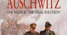 Película Auschwitz: Los nazis y la solución final