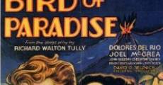 Bird of Paradise (1932) stream