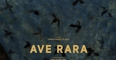 Filme completo Ave Rara