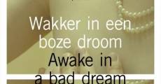 Wakker in een boze droom (2013) stream