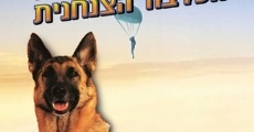 Ver película Azit the Paratrooper Dog