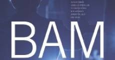 B.A.M.150 (2012)