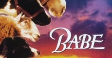 Babe (1995)