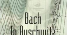 Ver película Bach in Auschwitz