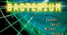 Bacterium (2006) stream