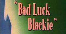 Película Bad Luck Blackie