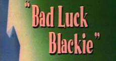 Bad Luck Blackie