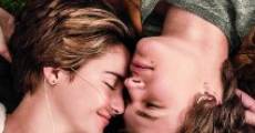 The Fault in Our Stars (2014) stream