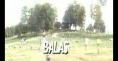 Ver película Balas en el recreo