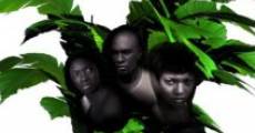 Banana Leaves (2007)