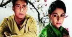 Barnali (1963) stream