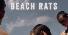 Ver película Beach Rats