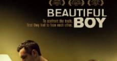 Ver película Beautiful Boy