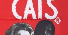 Because of the Cats (1973)