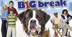 Beethoven's Big Break film complet