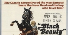 Black Beauty (1971) stream