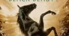 Black Beauty film complet