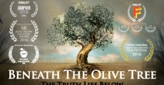 Película Beneath the Olive Tree